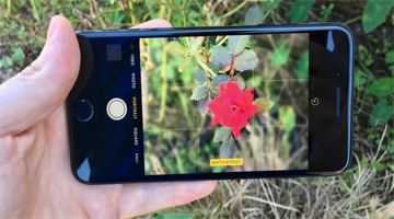 Cách chụp ảnh xóa phông trên camera gốc iPhone 6s, 6, 5s, 5