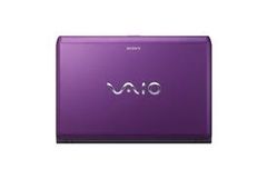  Sony Vaio Vpc-Ec3Dfx 