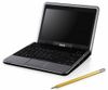 Dell Inspiron Mini 9 910