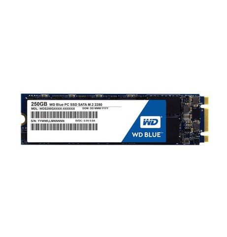 Ổ Cứng Ssd 250Gb Wd Blue M.2 2280
