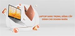  Tư Vấn Chọn Mua Laptop Sang Trọng, Đẳng Cấp Dành Cho Doanh Nhân 