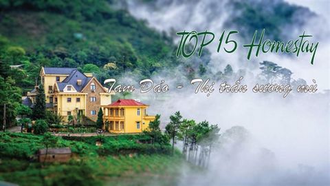 Top 15 homestay Tam Đảo giá tốt, view đẹp bạn không nên bỏ lỡ