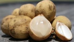  Bòn bon ăn như thế nào? Cách chọn mua bòn bon và ăn bòn bon đúng cách 