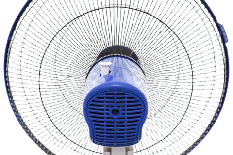 Quạt đứng Asia D16018 Xanh Coban