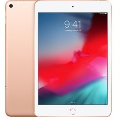  Máy tính bảng iPad mini 7.9 inch Wifi Cellular 64GB (2019) 