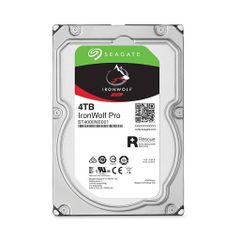  Ổ cứng Seagate Ironwolf Pro 4Tb St4000Ne001 