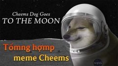  Meme Cheems là gì? Nguồn gốc, ý nghĩa, các meme hài hước, vui nhộn 