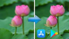  Top 11 app làm nét ảnh, giảm mờ trên điện thoại đơn giản, tốt nhất 