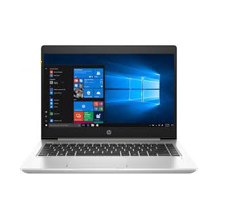 Hp Probook 455 G6 6Xa63Pa