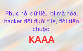 Phục hồi dữ liệu bị virus mã hóa, hacker tống tiền KAAA