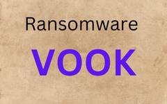  Phục hồi dữ liệu bị virus mã hóa, hacker tống tiền VOOK 