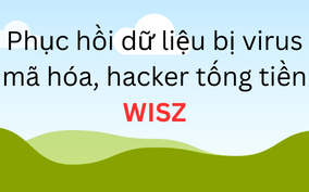 Phục hồi dữ liệu bị virus mã hóa, hacker tống tiền WISZ