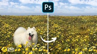 Loại bỏ những chi tiết thừa trong ảnh qua 3 cách xóa vùng chọn trong Photoshop cực kỳ đơn giản sau đây
