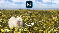  Loại bỏ những chi tiết thừa trong ảnh qua 3 cách xóa vùng chọn trong Photoshop cực kỳ đơn giản sau đây 