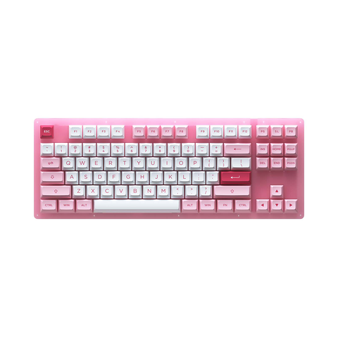 Bàn Phím Cơ Tkl Akko Acr87 Pink Rgb Akko Cs Jelly Pink