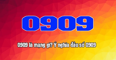 Đầu số 0909 là mạng gì? Ý nghĩa của đầu số 0909? Có phải số lộc phát? 