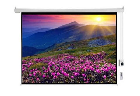 Màn chiếu điện điều khiển Dalite 150 inch PW150EST