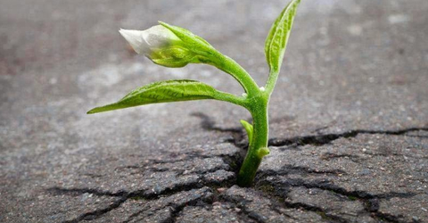 Nghị lực là gì? Ý nghĩa và dẫn chứng của nghị lực trong cuộc sống