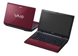 Sony Vaio Vpc-Cw16Fs