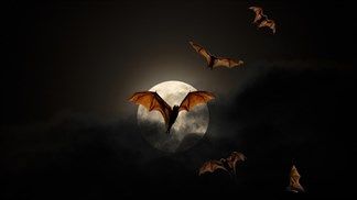 5 ứng dụng và game hấp dẫn đang FREE cho iPhone và iPad, có game nhập vai đế quốc ma cà rồng Vampire's Fall