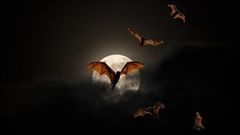  5 ứng dụng và game hấp dẫn đang FREE cho iPhone và iPad, có game nhập vai đế quốc ma cà rồng Vampire's Fall 