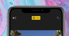  Cách lưu ảnh Live Photo thành video trên iOS 13 