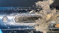  Video vệ sinh iPhone gây bão mạng xã hội: Đừng xem! bạn sẽ không dám đụng vào điện thoại nữa đâu 
