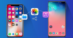  5 cách chuyển hình ảnh, video từ Android sang iPhone đơn giản 