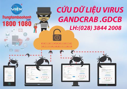 Cứu Dữ Liệu Virus Gandcrab .Gdcb