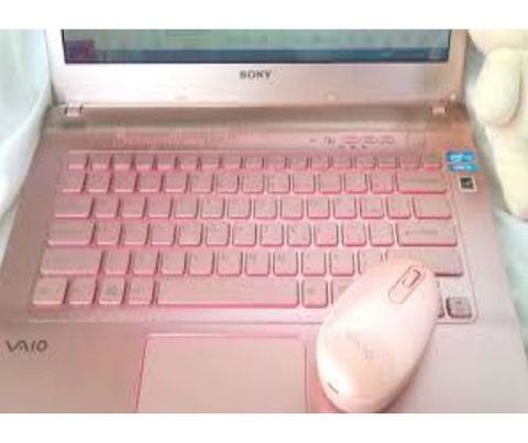 Vỏ Laptop Sony VAIO FIT SVF 1421BPX