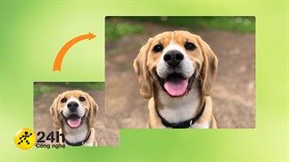 Cách phóng to ảnh gấp 4 lần mà vẫn không bị vỡ trên điện thoại và máy tính, cho bạn bức hình chất lượng cao