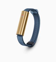  Vòng Đeo Sức Khoẻ Misfit Ray Sport Band - Vàng Dây Xanh Dương 