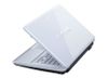 Sony Vaio Vpc-Cw15Fg/W
