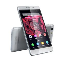  WALTON PRIMO RM2 MINI 