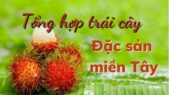  Tổng hợp các loại trái cây đặc sản miền Tây ngon khó cưỡng 