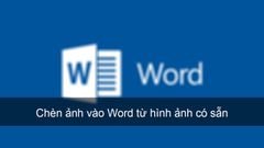  Cách chèn ảnh vào Word từ hình ảnh có sẵn, online đơn giản nhất 