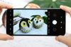 Điện thoại Xiaomi Redmi Note 8 (4GB/64GB)