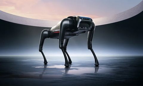 Xiaomi ra chó robot CyberDog