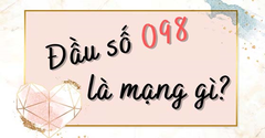  Đầu số 098 là mạng gì? Ý nghĩa của đầu số 098? Có phải số đẹp? 