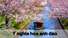  Tiết lộ ý nghĩa của hoa anh đào Nhật Bản | Bạn đã biết chưa? 