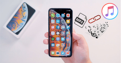 Cách copy nhạc vào iPhone bằng iTunes, đơn giản và nhanh chóng