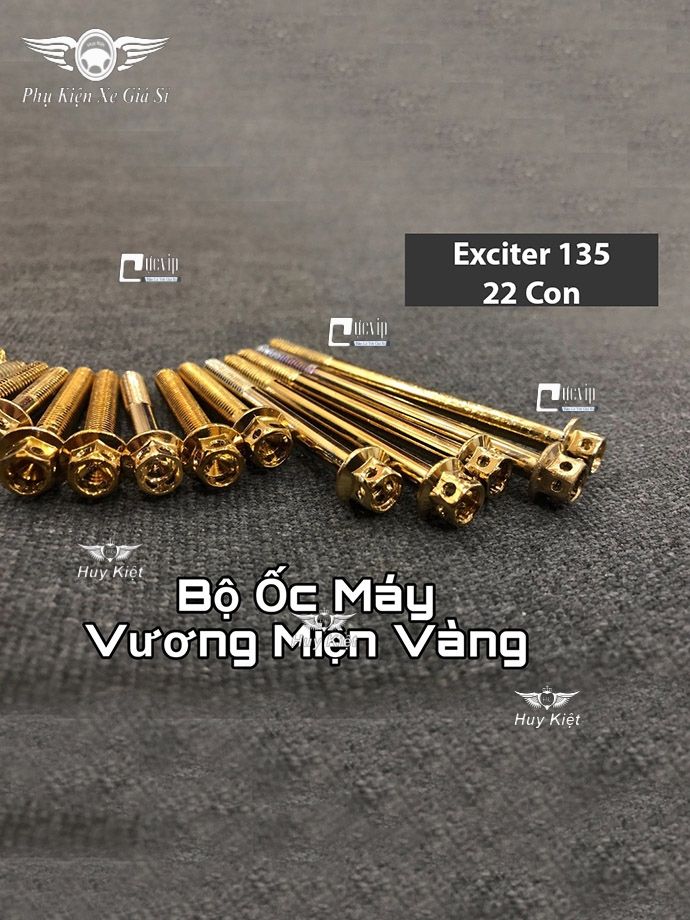 Bộ Ốc Máy Exciter 135 (2011 - 2014) Vương Miện Vàng MS2156