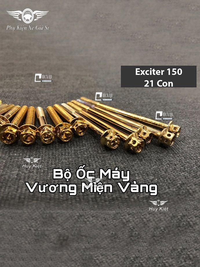 Bộ Ốc Máy Exciter 150 (2015 - 2020) Vương Miện Vàng MS2157