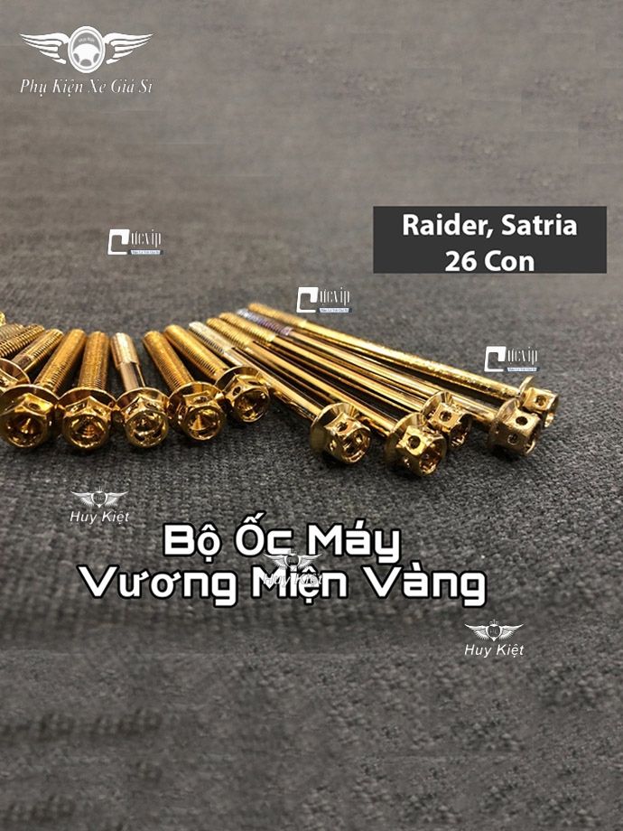 Bộ Ốc Máy Raider, Satria Vương Miện Vàng MS2158