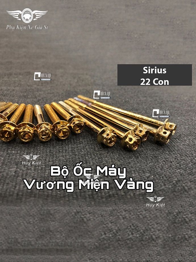 Bộ Ốc Máy Sirius Vương Miện Vàng MS2159