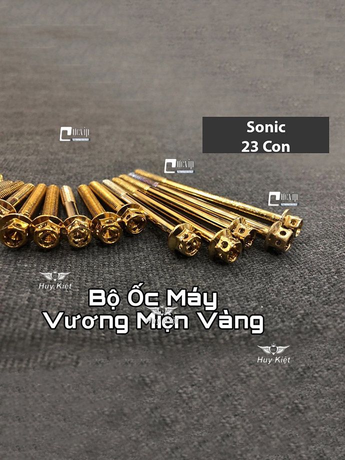 Bộ Ốc Máy Sonic Vương Miện Vàng MS2160