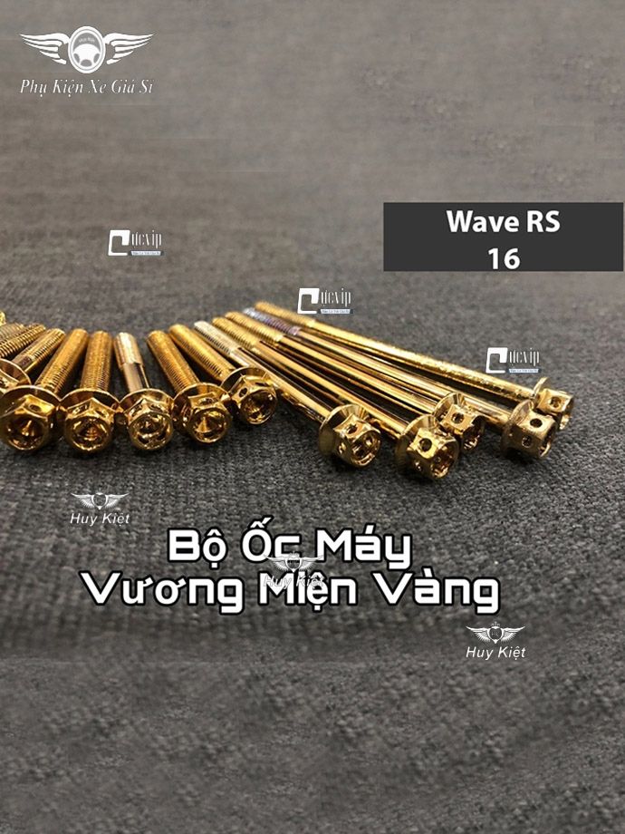 Bộ Ốc Máy Wave RS Vương Miện Vàng MS2161