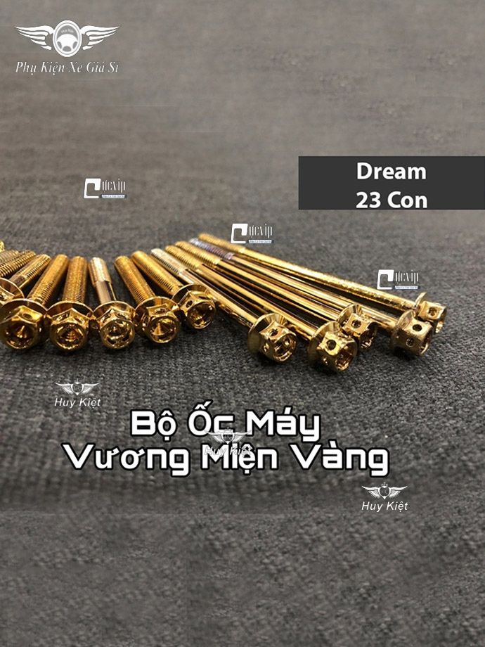 Bộ Ốc Máy Dream Vương Miện Vàng MS2163