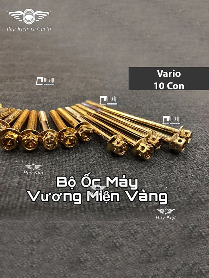 Bộ Ốc Máy Vario (2015 - 2020) Vương Miện Vàng MS2164