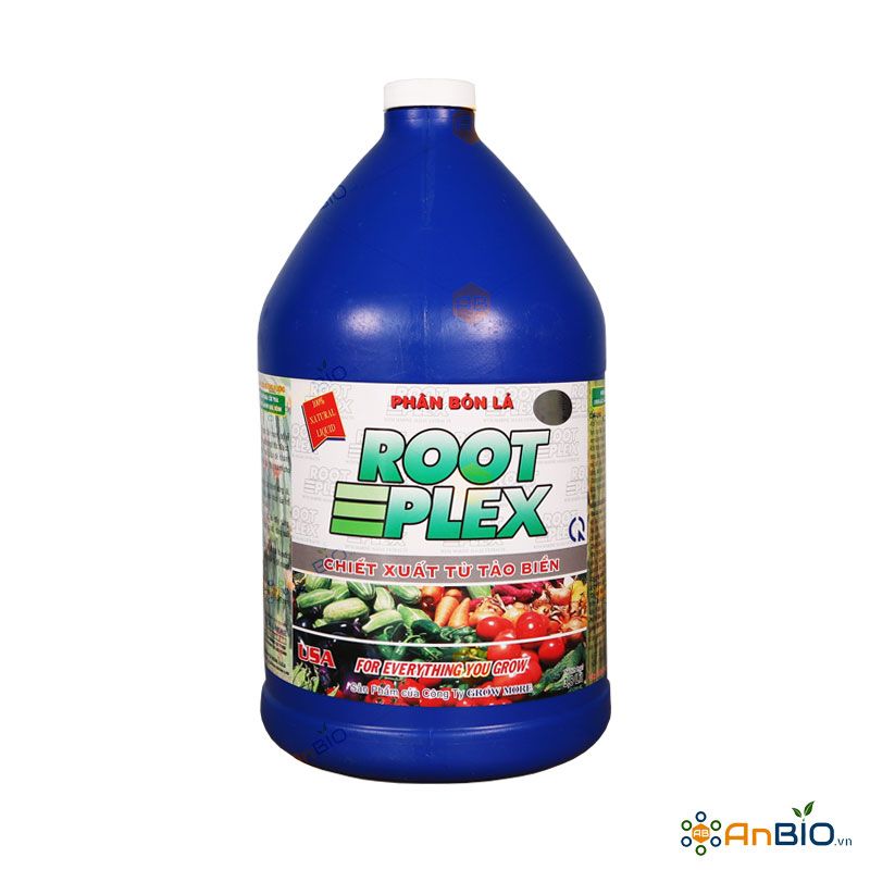 Growmore RootPlex | CHIẾT XUẤT TỪ TẢO BIỂN – AnBIO.vn | Agriculture ...